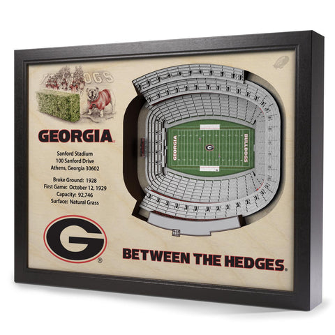 Georgia Bulldogs 25-Layer StadiumView 3D Wall Art