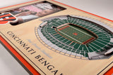 NFL Cincinnati Bengals 3D StadiumViews Picture Frame