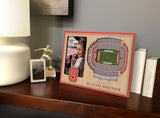 NCAA North Carolina State Wolfpack 3D StadiumViews Picture Frame