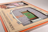 NCAA Oklahoma State Cowboys 3D StadiumViews Picture Frame