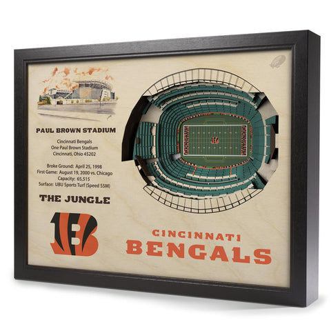 Cincinnati Bengals 25-Layer StadiumView 3D Wall Art