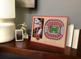NFL Arizona Cardinals 3D StadiumViews Picture Frame
