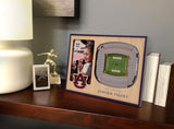NCAA Auburn Tigers 3D StadiumViews Picture Frame