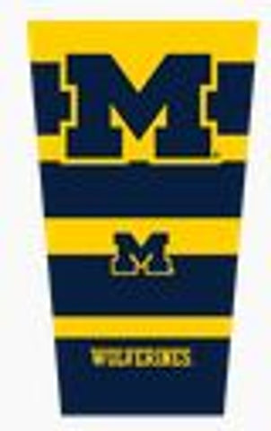 Michigan Wolverines Strong Arm Sleeve Special Order