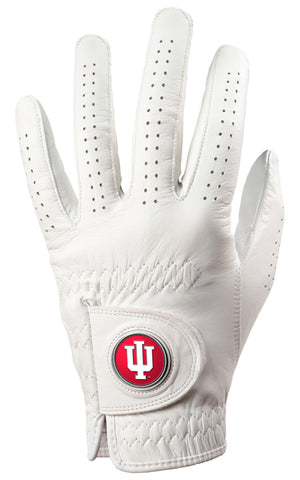 Indiana Hoosiers Golf Glove  