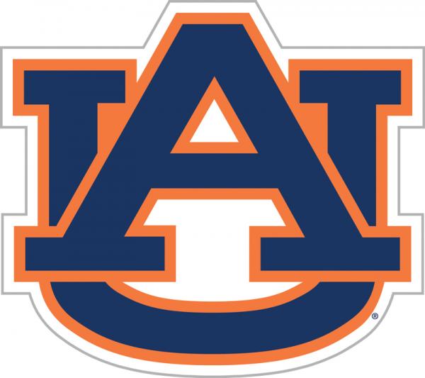 Auburn Tigers Magnet Car Style 12 Inch