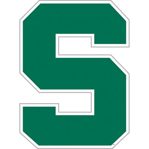 Michigan State Spartans Magnet Car Style 12 Inch