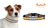 Tennessee Volunteers Classic Leather Football Collar