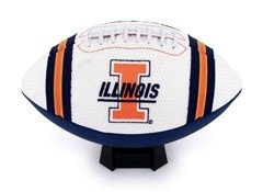 Illinois Fighting Illini Full Size Jersey Football CO