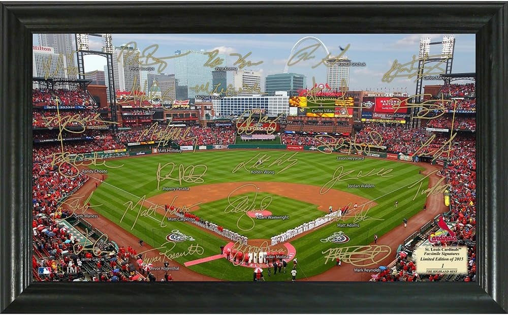St. Louis Cardinals Framed Signature Field