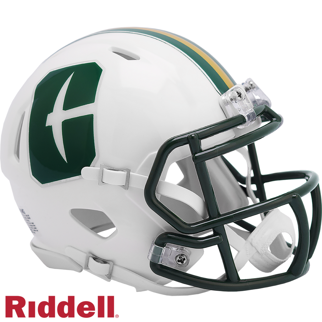 North Carolina-Charlotte 49ers Helmet Riddell Replica Mini Speed Style