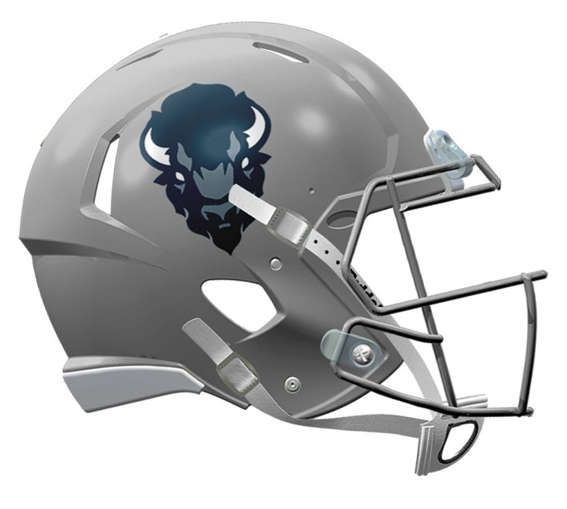 Howard University Bison Helmet Riddell Replica Mini Speed Style