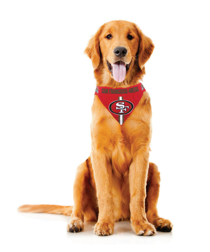 Dallas Cowboys Pet Bandanna Size