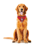 Baltimore Ravens Pet Bandanna Size