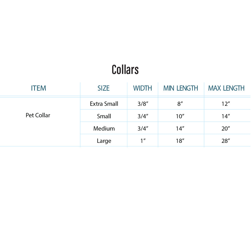 Las Vegas Raiders Pet Collar Size