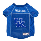 Kentucky Wildcats Pet Jersey