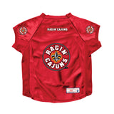 Louisiana Ragin' Cajuns Big Pet Stretch Jersey