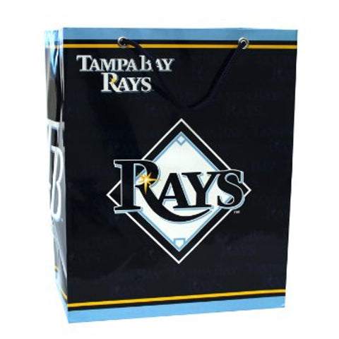 Tampa Bay Rays Gift Bag Medium