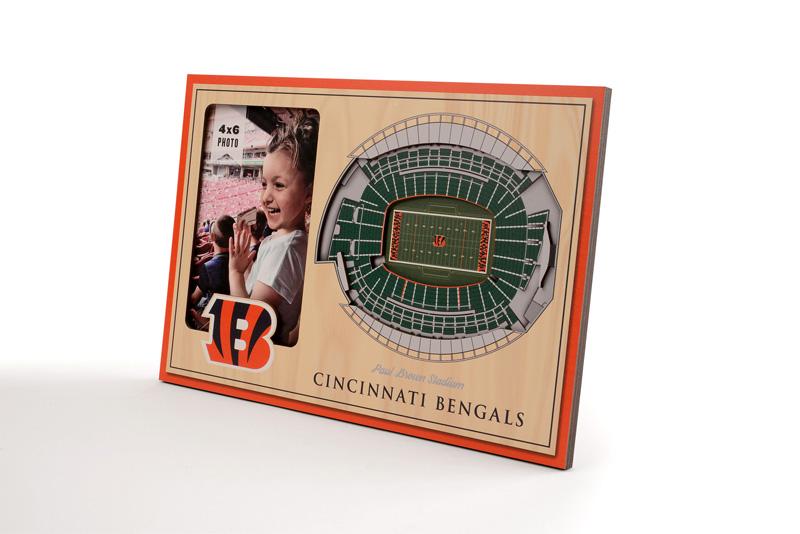 NFL Cincinnati Bengals 3D StadiumViews Picture Frame