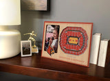 NCAA Louisville Cardinals 3D StadiumViews Picture Frame