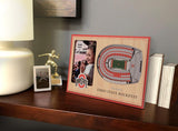NCAA Ohio State Buckeyes 3D StadiumViews Picture Frame