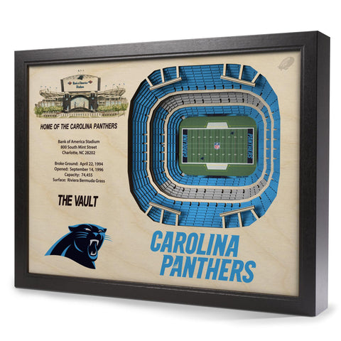 Carolina Panthers 25-Layer StadiumView 3D Wall Art