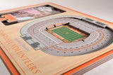 NCAA Tennessee Volunteers 3D StadiumViews Picture Frame