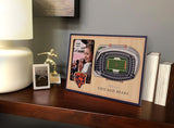 NFL Chicago Bears 3D StadiumViews Picture Frame