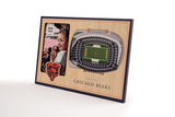 NFL Chicago Bears 3D StadiumViews Picture Frame