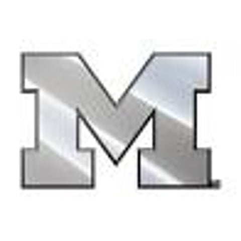 Michigan Wolverines Auto Emblem Silver