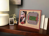 NCAA Arkansas Razorbacks 3D StadiumViews Picture Frame