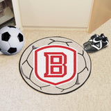 Bradley Soccer Ball 27" diameter