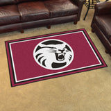 Cal State - Chico 4'x6' Rug