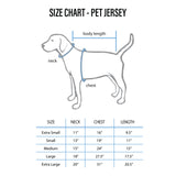 Detroit Lions Pet Jersey Size
